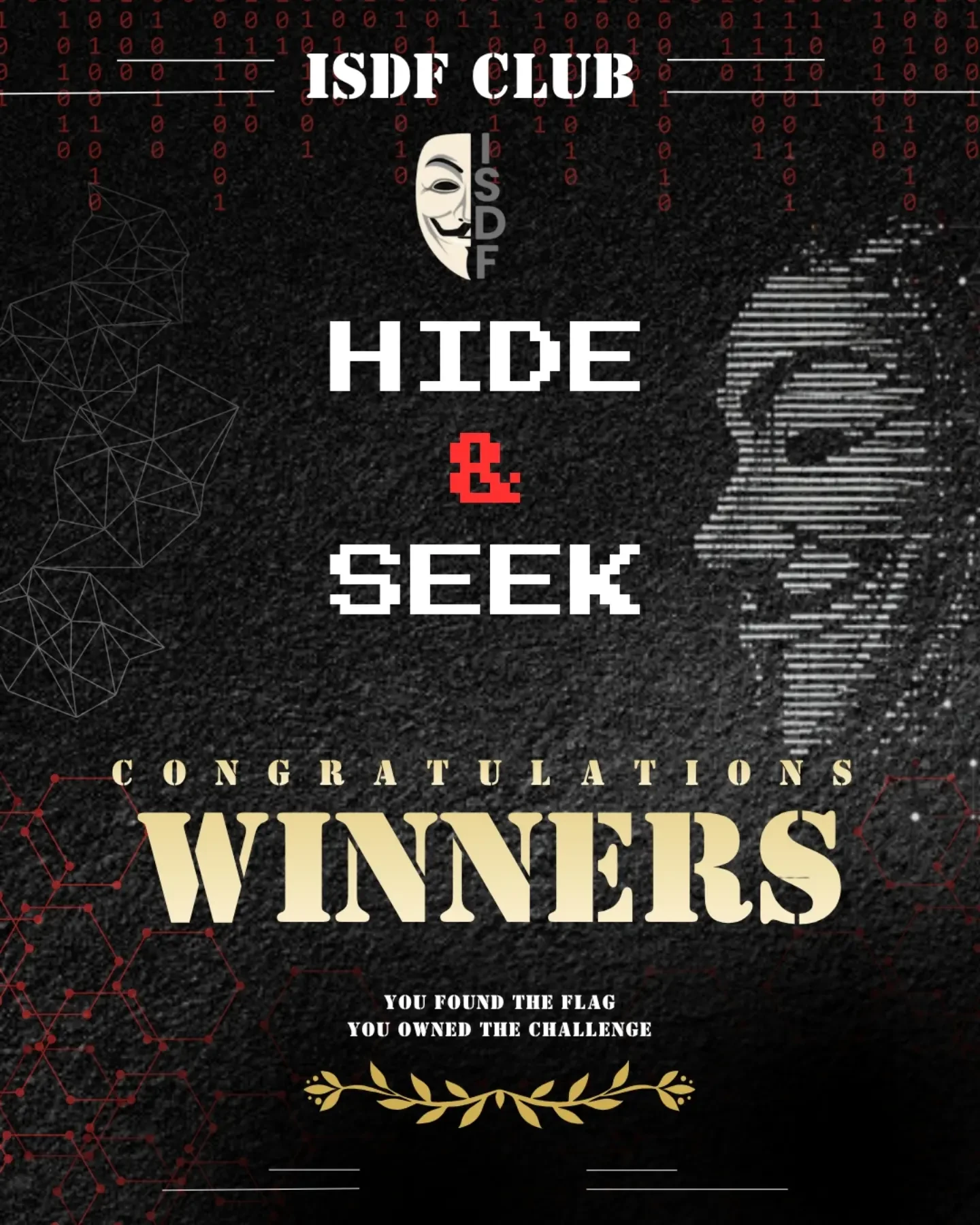 Hide & Seek CTF: the flags are captured, original post image